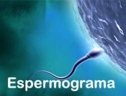 O que  espermograma? 